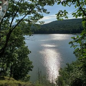 Meet your Posher, Janell